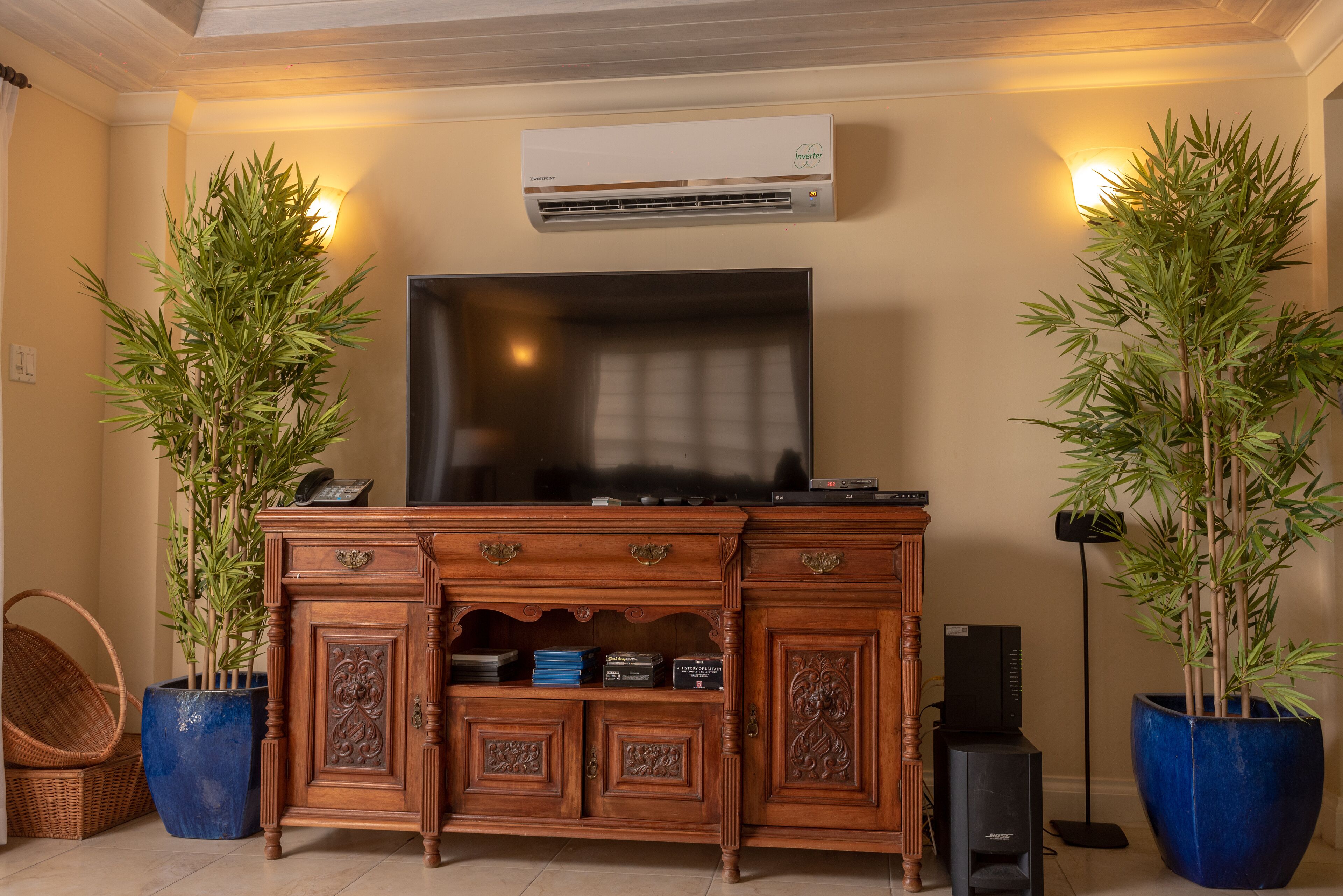 Een woonkamer met een televisie, een houten kast, twee potplanten en een airconditioner.