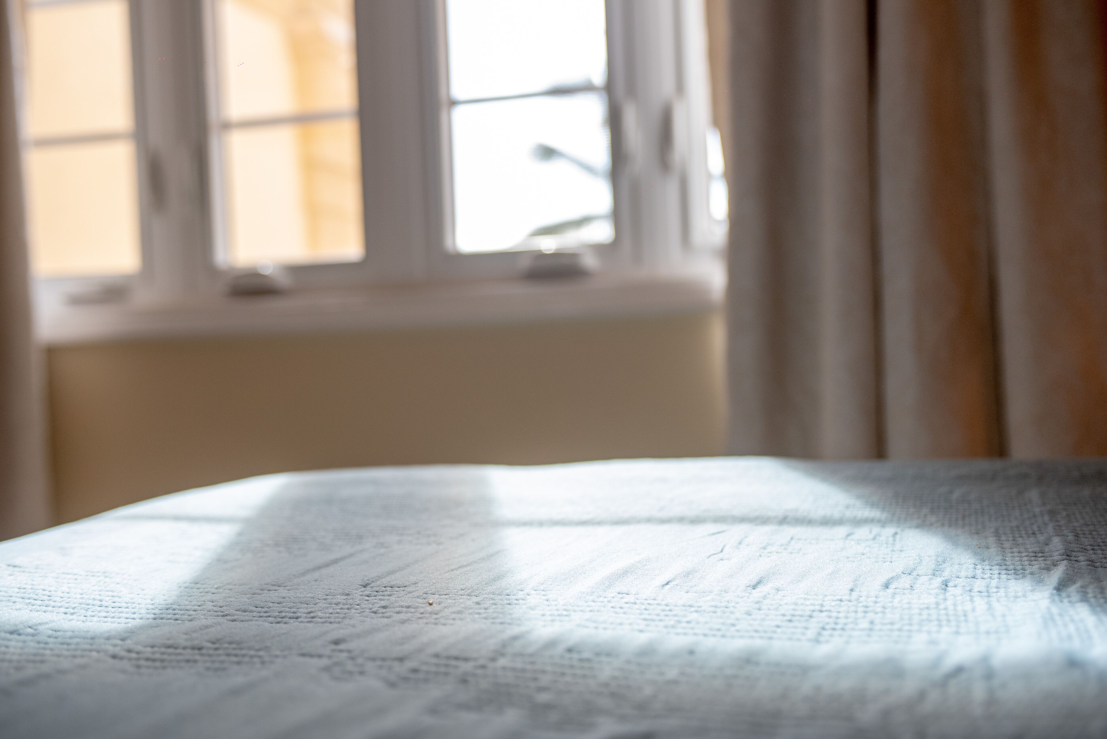 premier condo, 2 bedrooms, 2 bathrooms, ocean view | 1 bedroom, egyptian cotton sheets, premium bedding, in-room safe