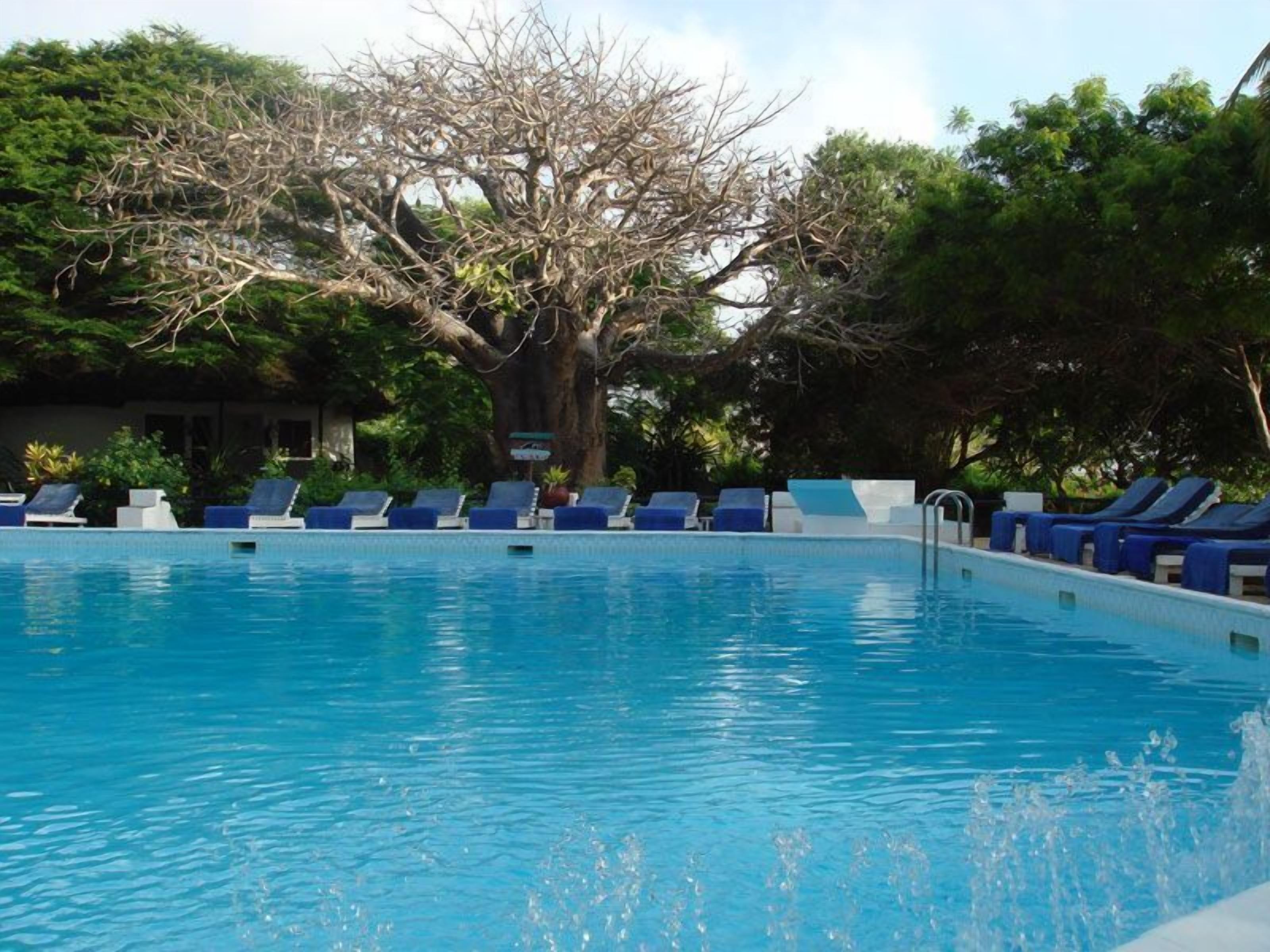 Ein Schwimmbecken mit Liegestühlen und einem Baum im Hintergrund.