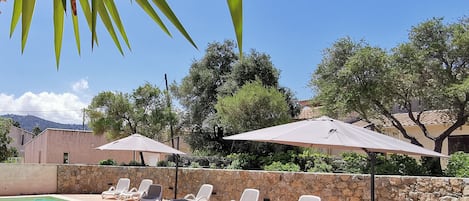 Outdoor pool, sun loungers