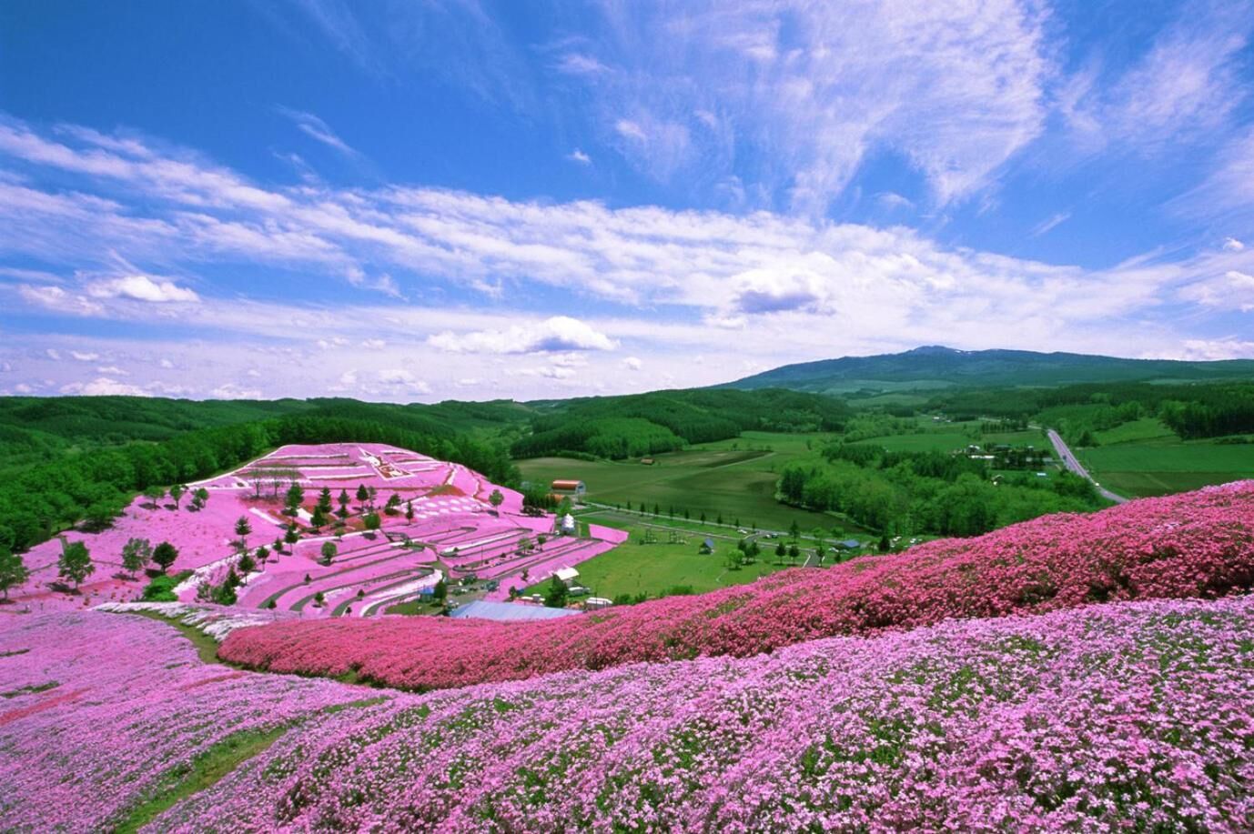 Ein großer, liebevoll angelegter Garten mit vielfältigen Blumenarrangements und freiem Blick auf die umliegende Landschaft.