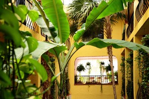 Vista desde la propiedad