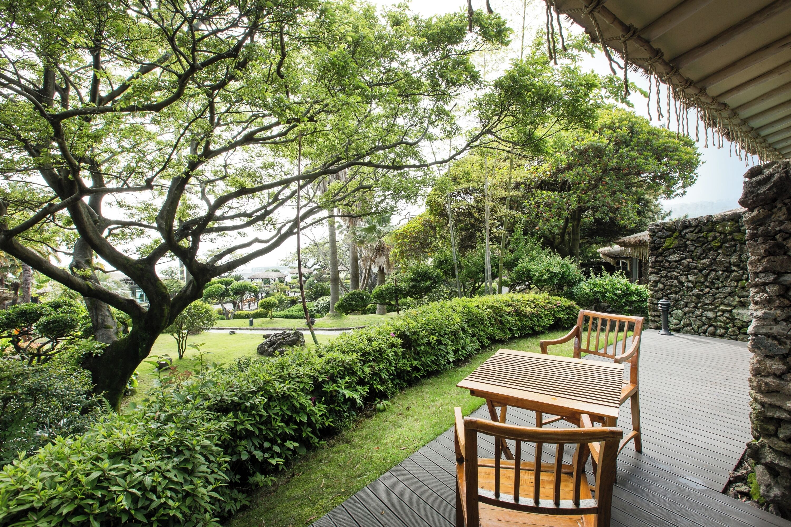 Une terrasse en bois avec une table et des chaises, entourée d’une végétation luxuriante et d’un mur de pierre.
