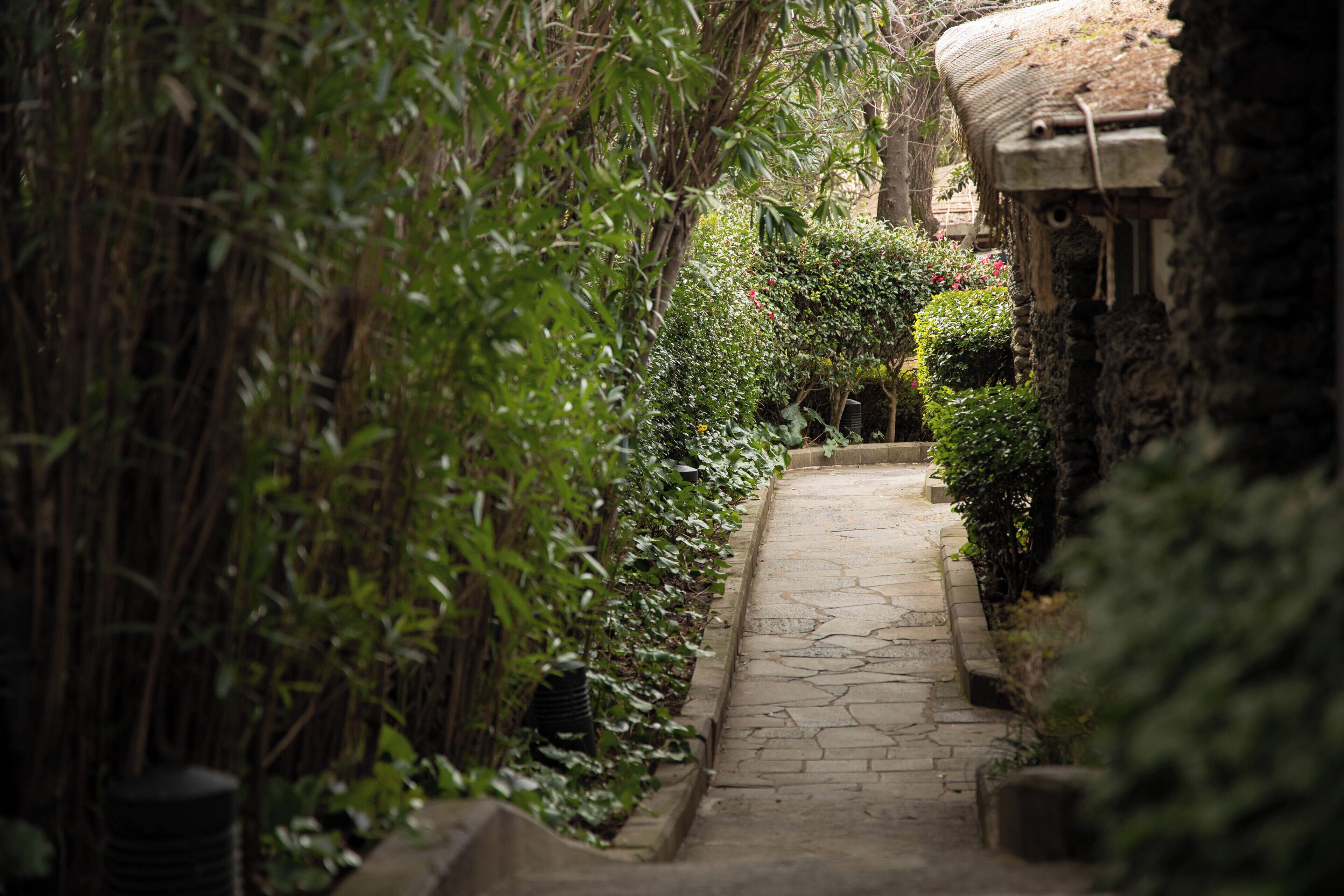 Photo - The Seaes Hotel & Resort