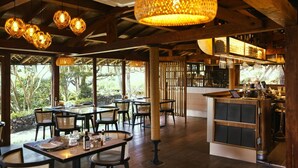 Un espace de restauration intérieur avec des tables et des chaises en bois, des luminaires suspendus et une vue sur la verdure à l’extérieur.