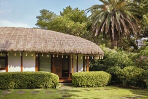 Couette en duvet d'oie, mini-bar avec articles gratuits