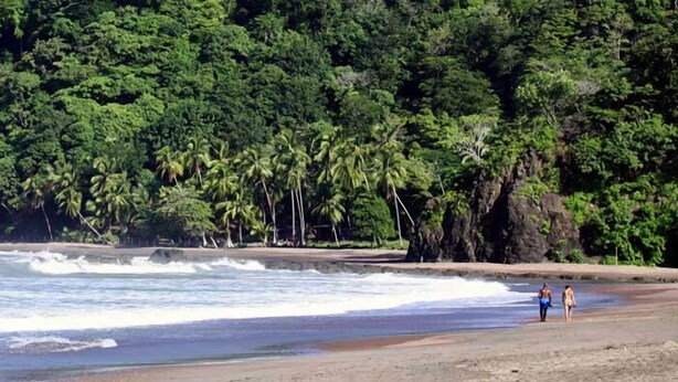 Una spiaggia con palme e affioramenti rocciosi.