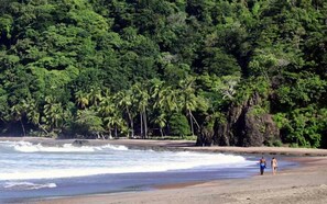 A beach with palm trees and rocky outcrops. - Blue Palm Hotel (Jacó)