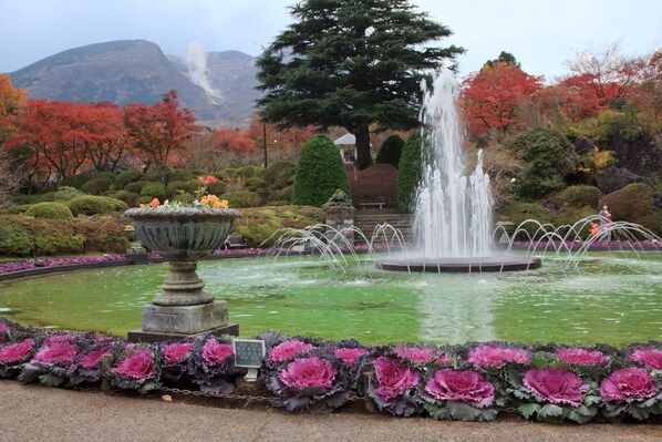 Un jardín con una fuente central, rodeado por un estanque circular y diversas plantas.