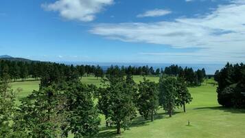 Vista desde la habitación