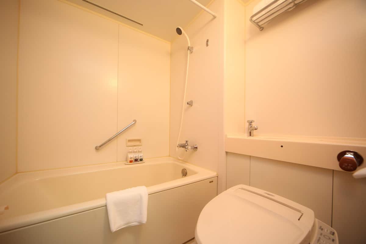 Haartrockner, Hausschuhe, Bidet, Handtücher