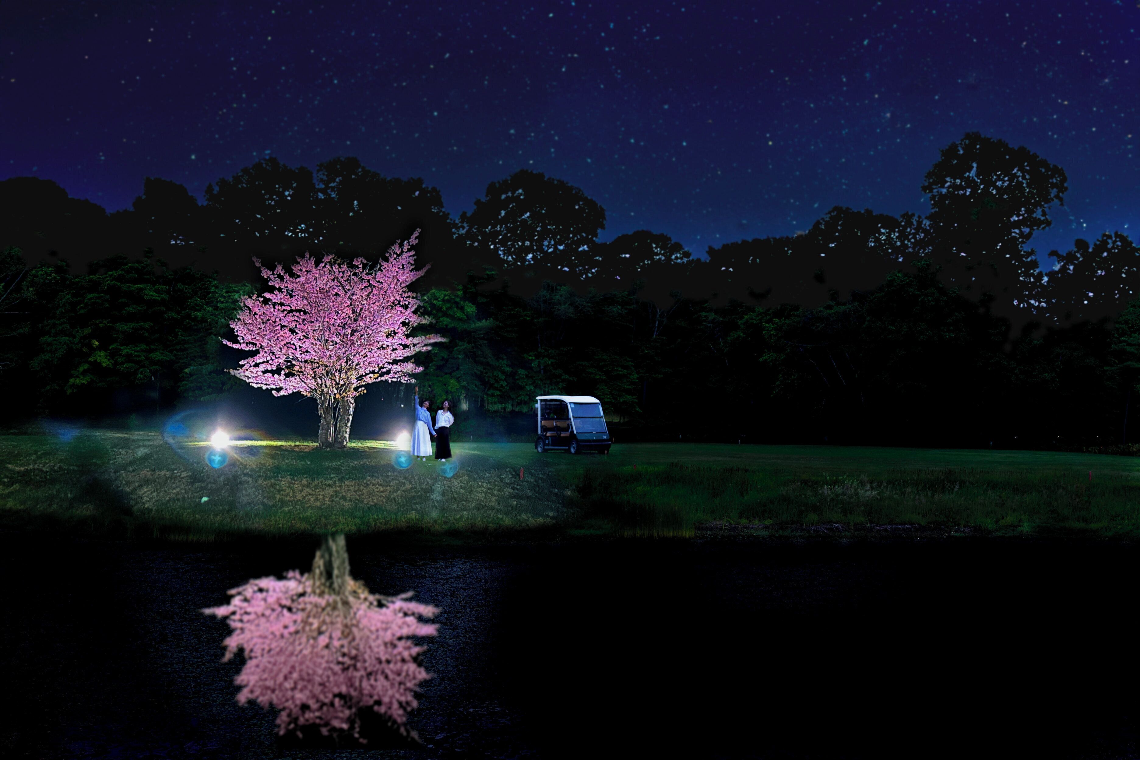 A nighttime scene with a tree illuminated by lights, a van, and two people standing near the van.