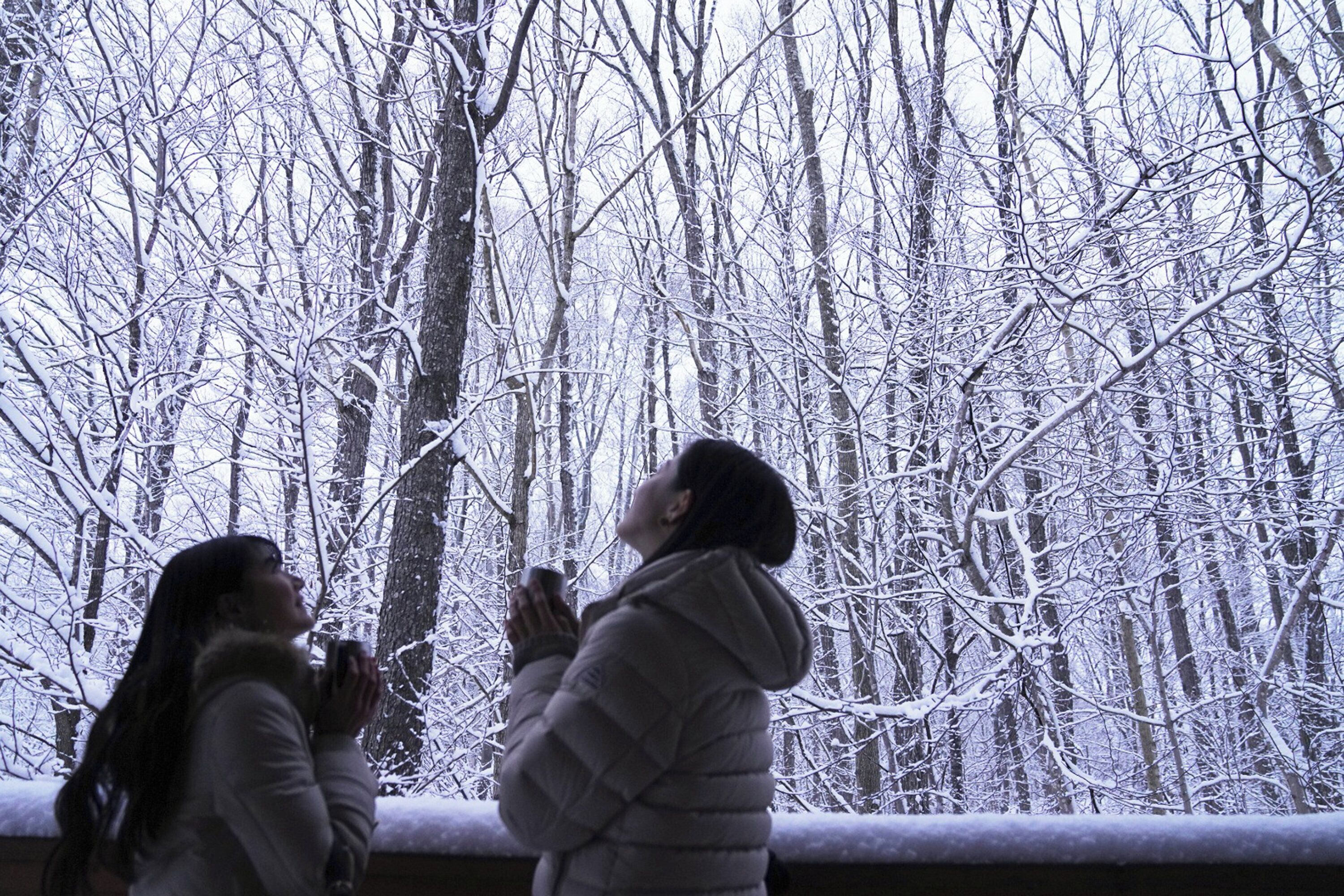 Una persona con un piumino bianco che guarda una foresta innevata.