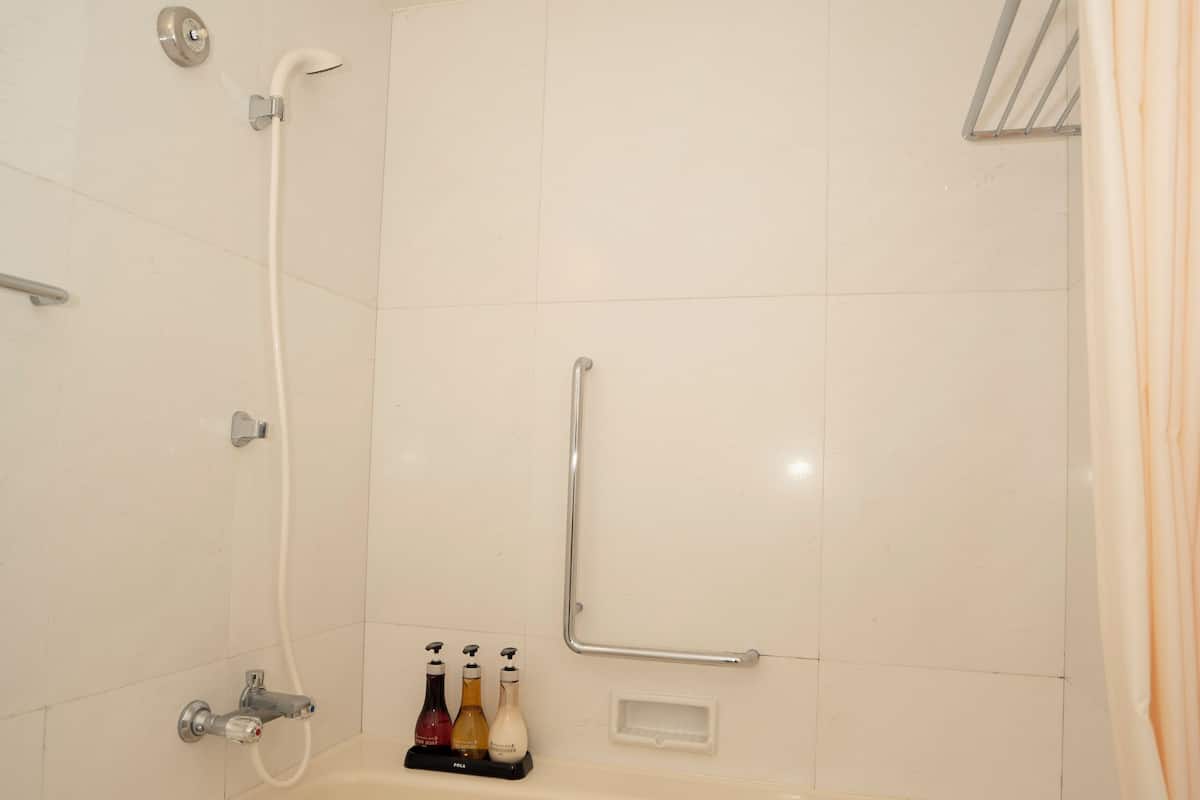 Haartrockner, Hausschuhe, Bidet, Handtücher