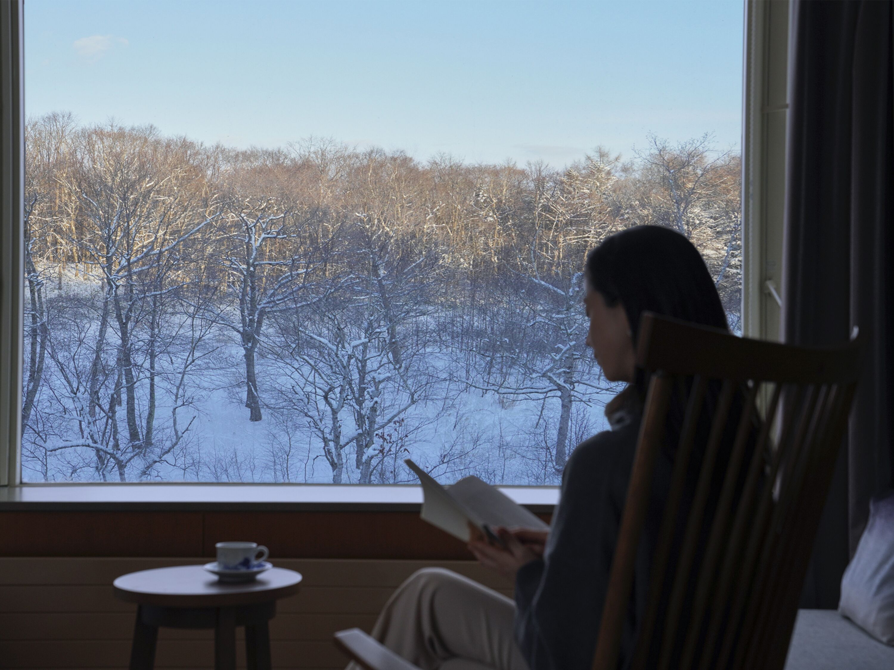 A person seated by a window with a view of a snowy forest.