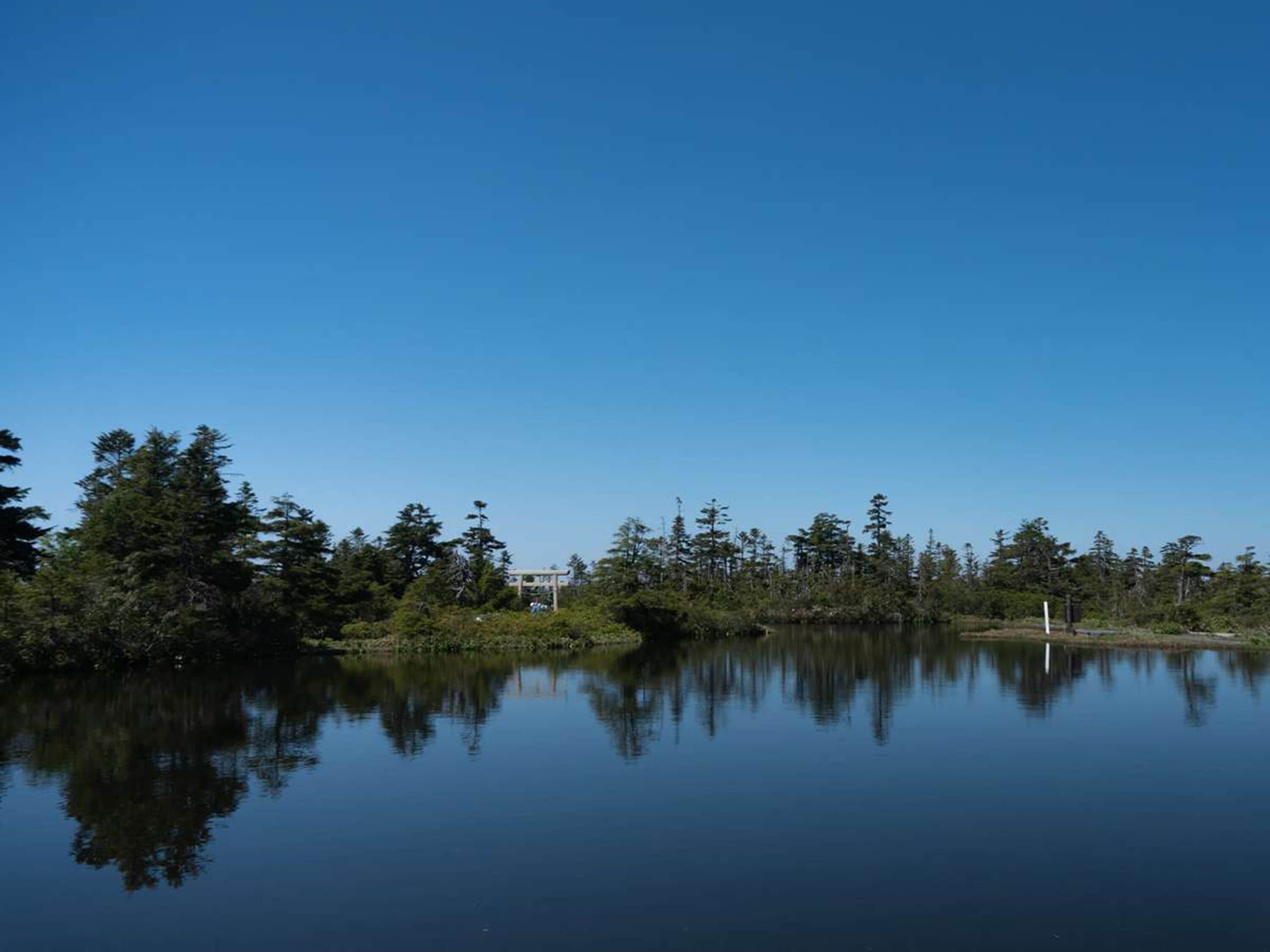 Un lago tranquilo con reflejos de árboles y un edificio al fondo.