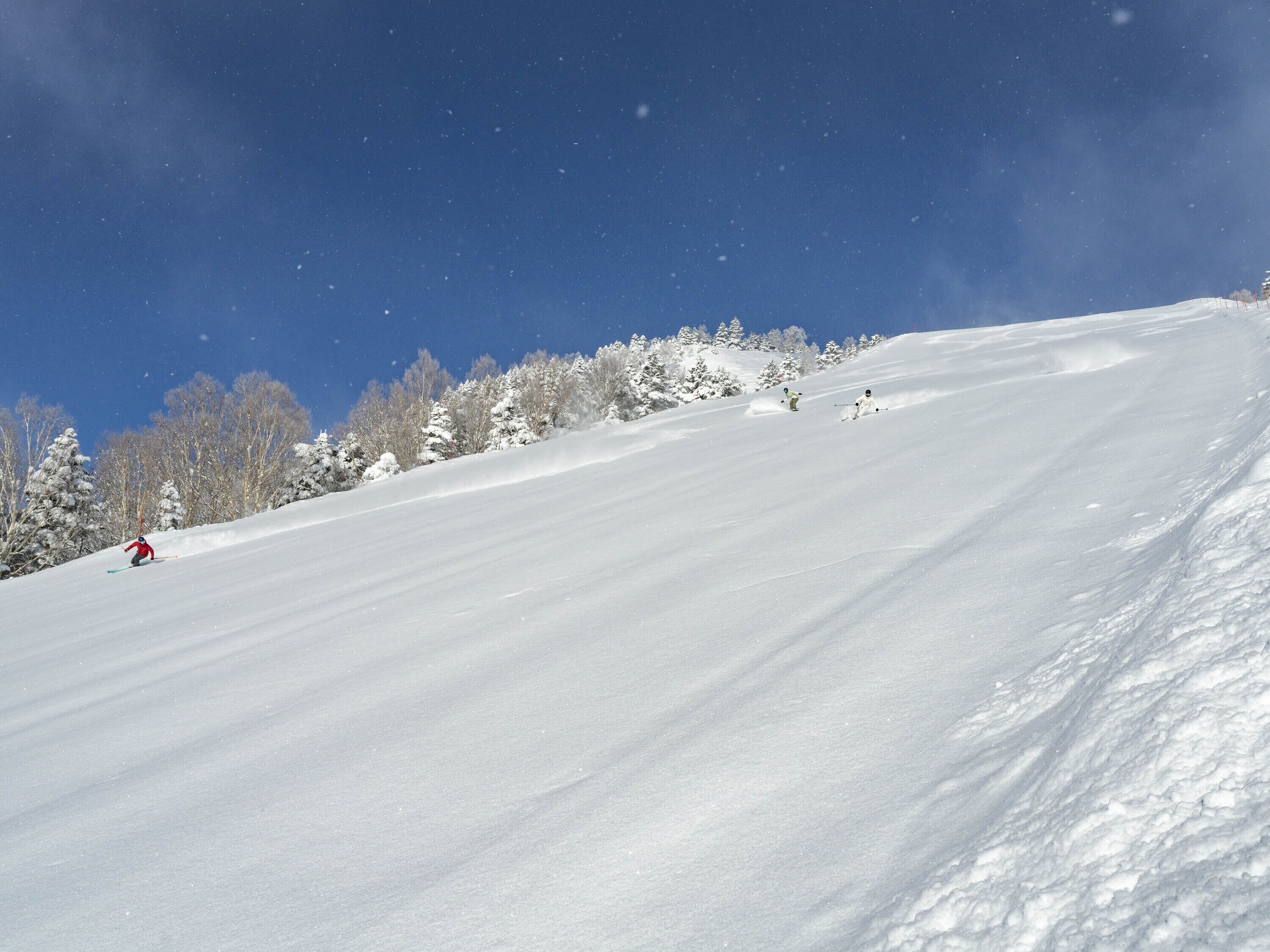 Una pista de esquí nevada con árboles y un cielo azul despejado.