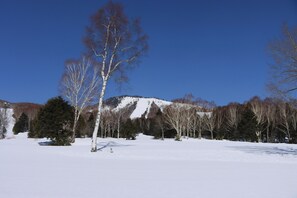 A snow-covered landscape with trees and a mountain in the background. - Shiga Kogen Prince Hotel (Yamanouchi)