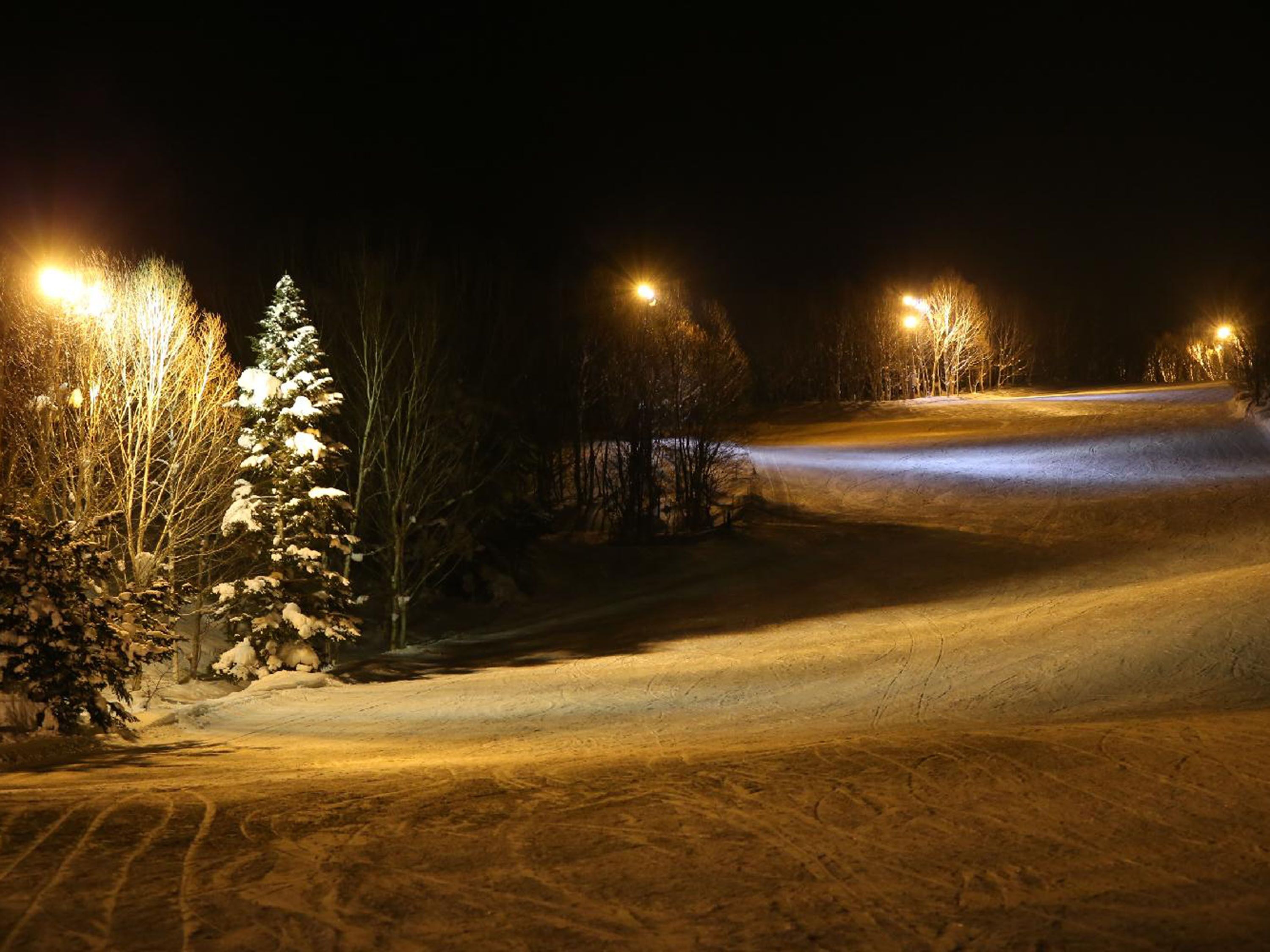 Skikjøring