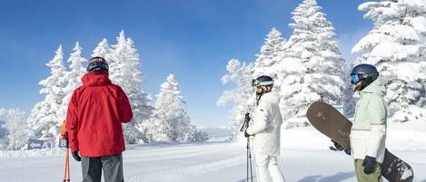 A snowy landscape with three people in ski and snowboard gear.