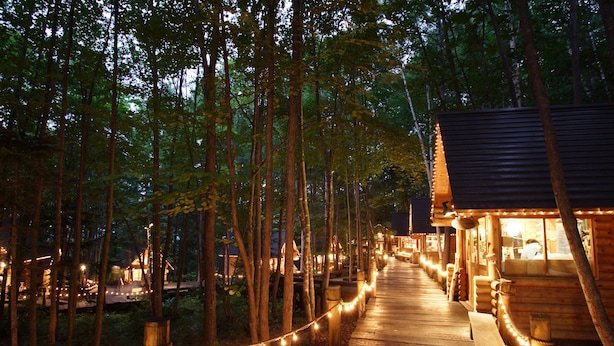 Un sendero de madera en un bosque que lleva a una cabaña con luces colgantes.