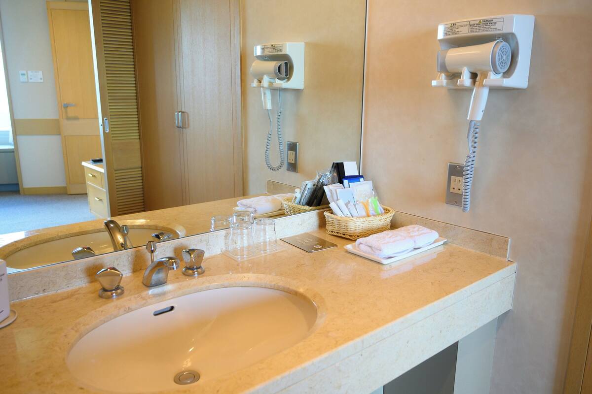 suite room, non smoking | view from room