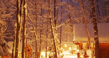 Shin Furano Prince Hotel