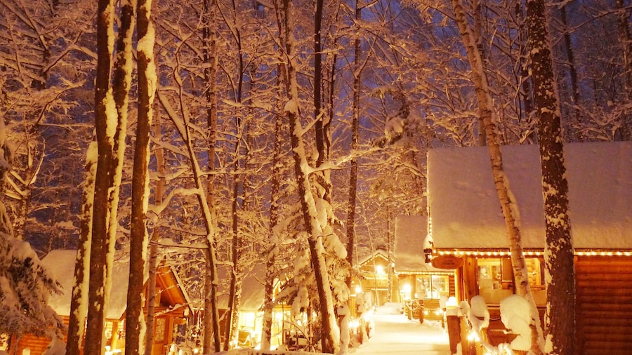 Shin Furano Prince Hotel