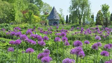 Un jardin agrémenté de fleurs violettes et d’une structure en pierre.