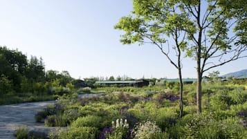 Un jardín con un sendero de madera, un árbol y un edificio al fondo.