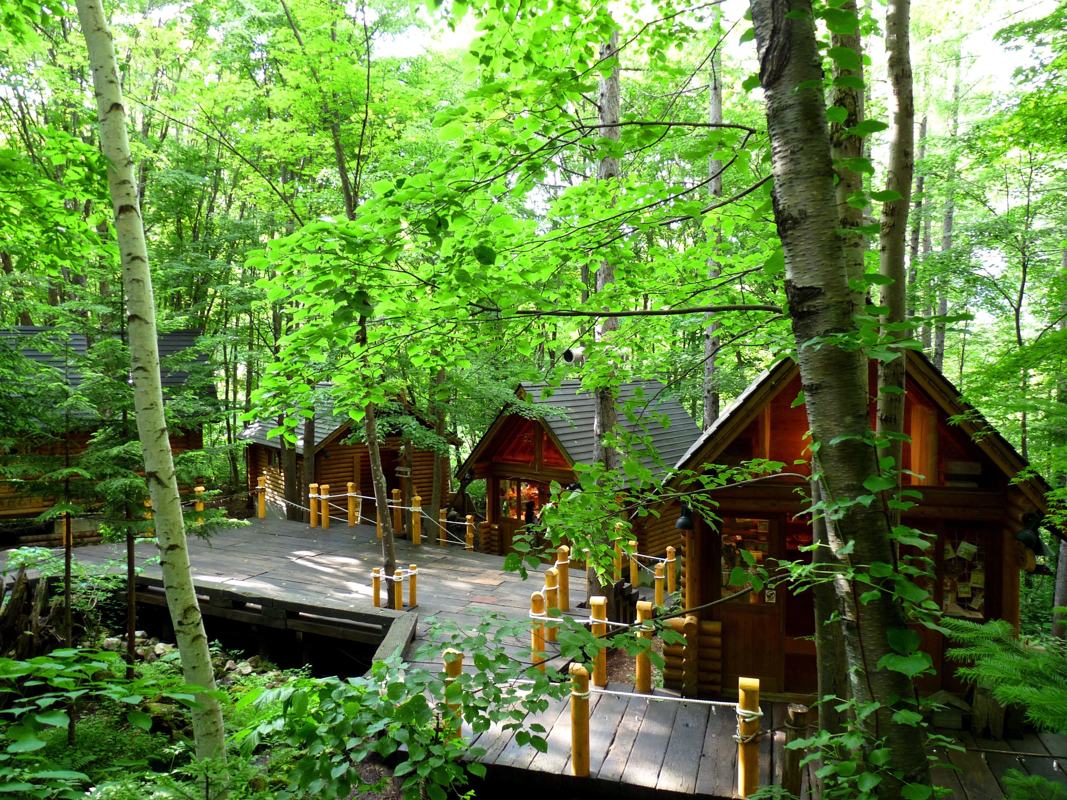 A forest cabin with a wooden deck and multiple cabins.