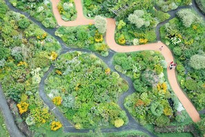 An aerial view of a landscaped garden with winding paths and dense vegetation. - Shin Furano Prince Hotel (Furano)