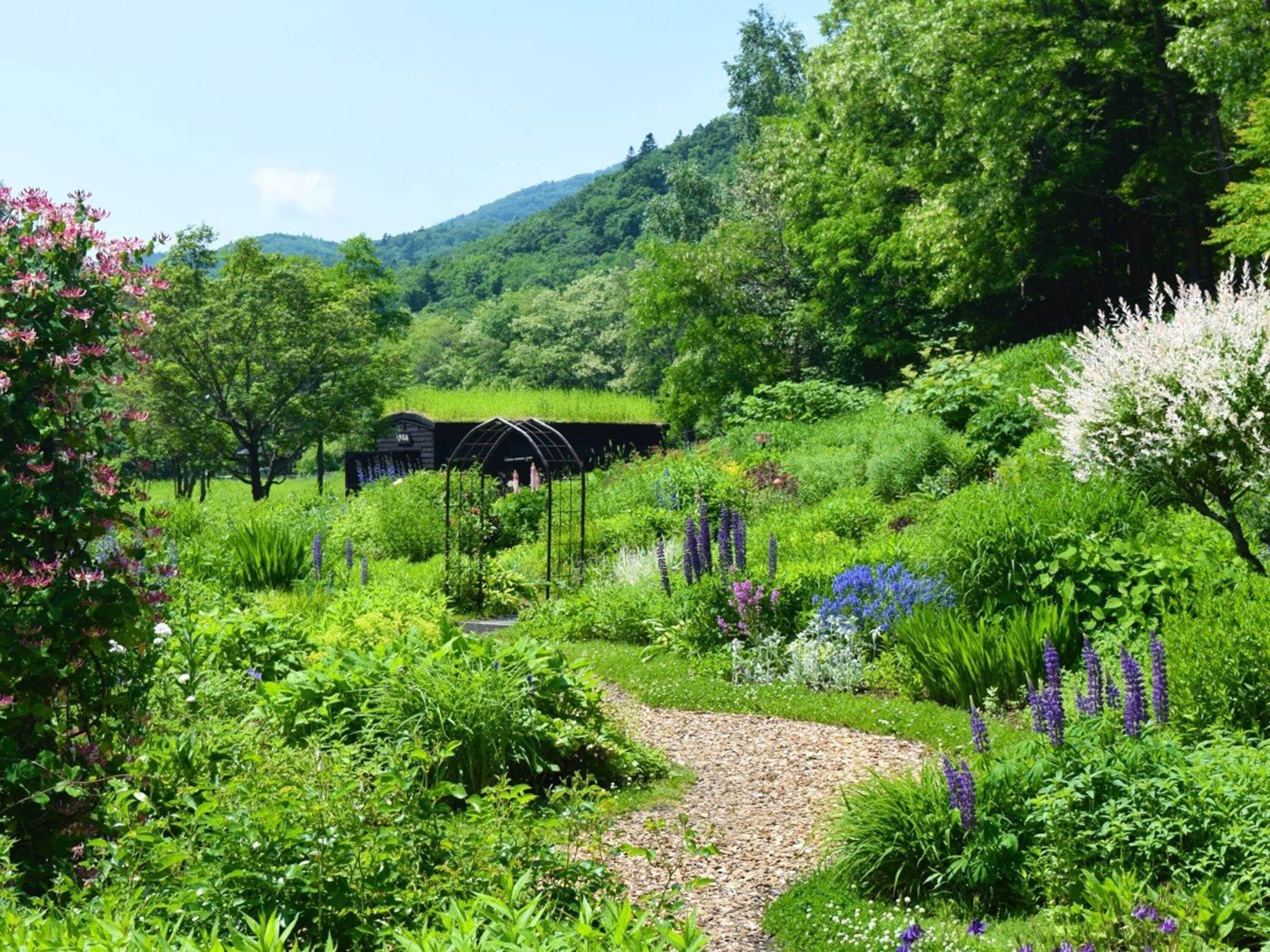 Un jardín exuberante con diversas plantas y flores, un sendero de grava y una estructura de invernadero.