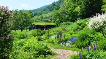 Un jardín exuberante con diversas plantas y flores, un sendero de grava y una estructura de invernadero.