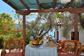 Terrace/patio - Diplomats Holidays (South Pelion)