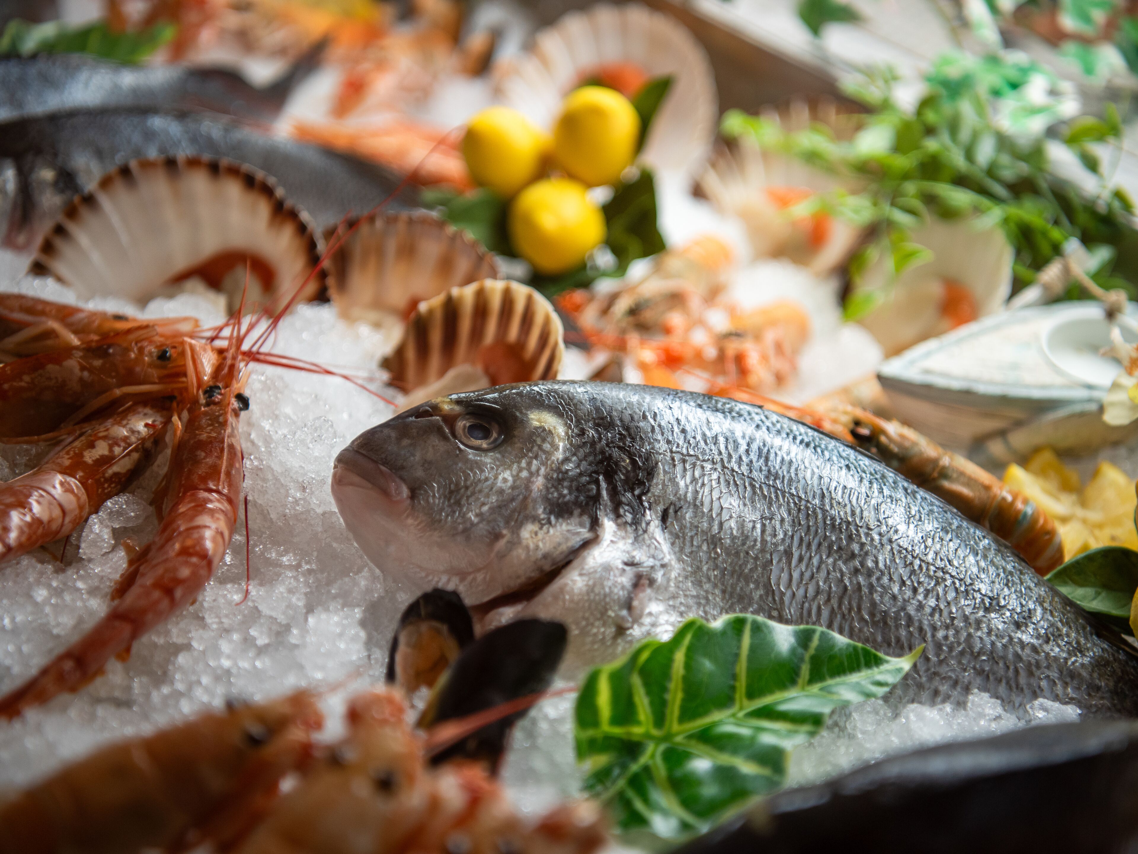 Diversitat de marisc, inclou peix, gambes i cloïsses sobre gel.