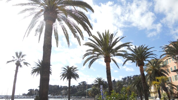 Beach/ocean view - Hotel Mirò (Rapallo)