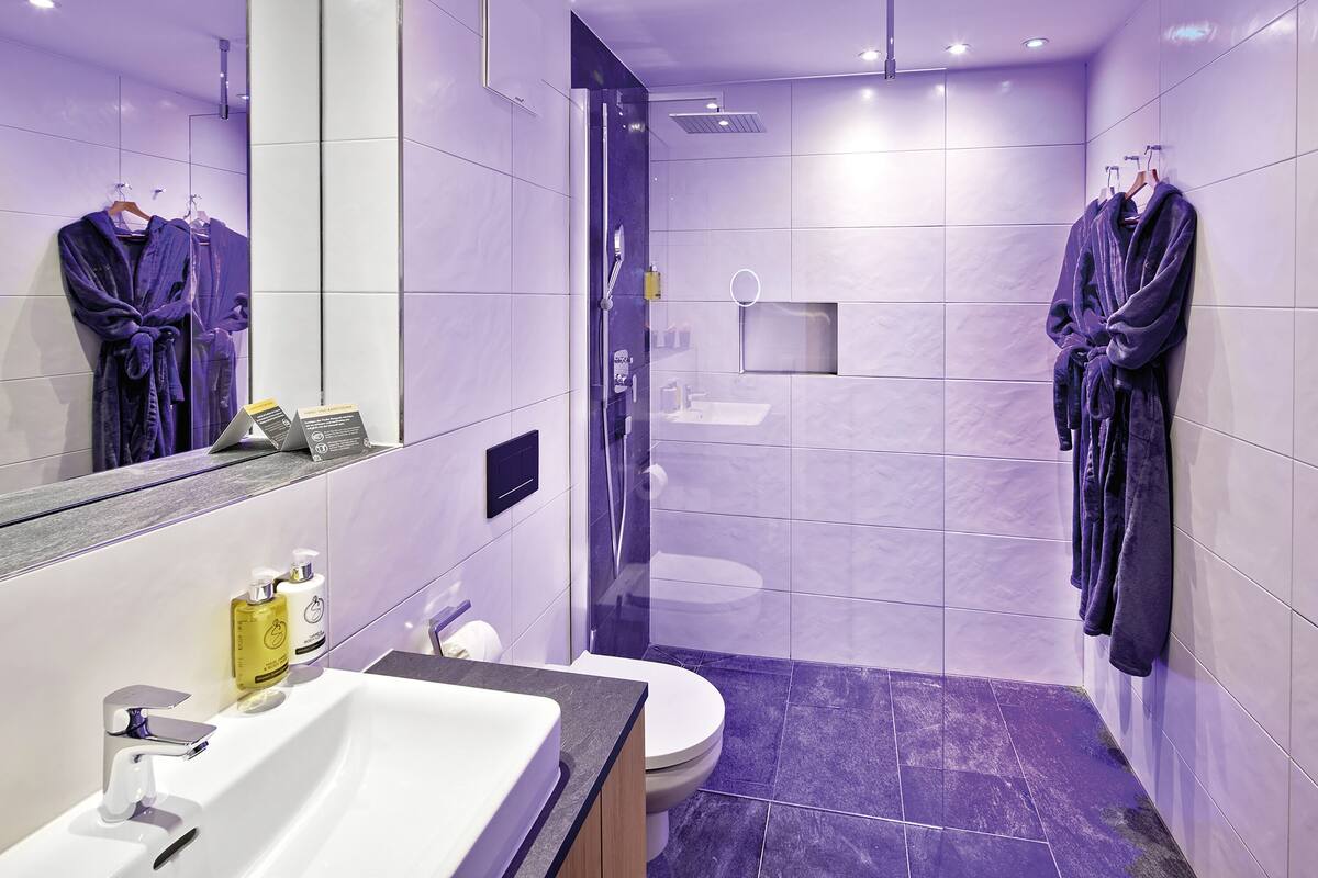 premium double room | bathroom | shower, free toiletries, hair dryer, bathrobes