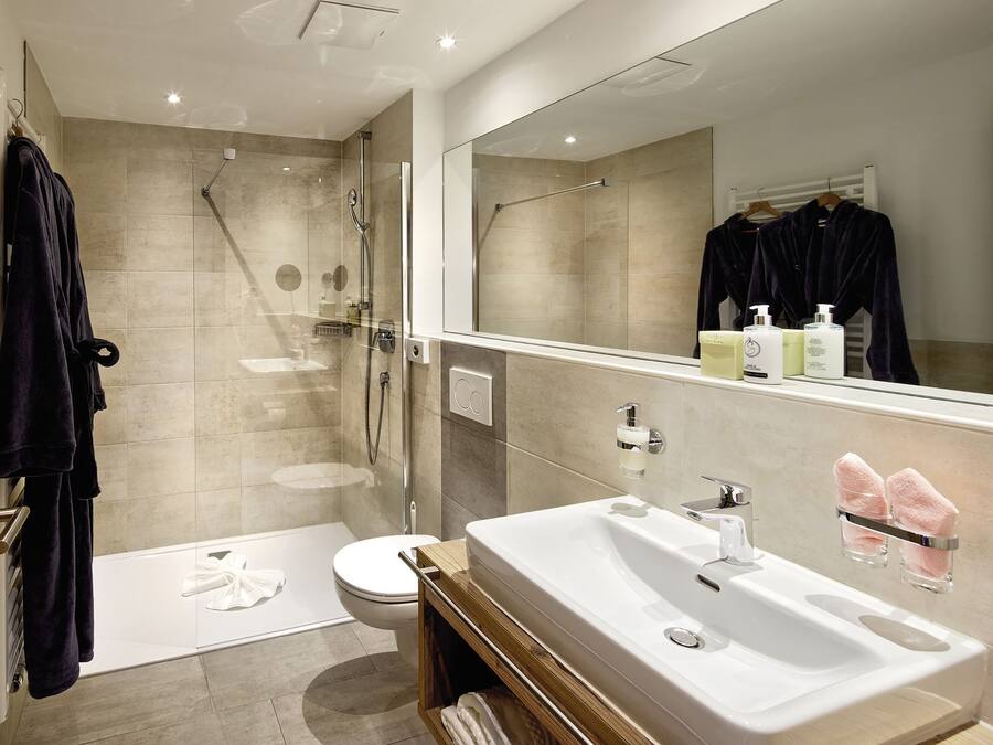 A modern bathroom with a large sink, a glass shower enclosure, and a toilet.