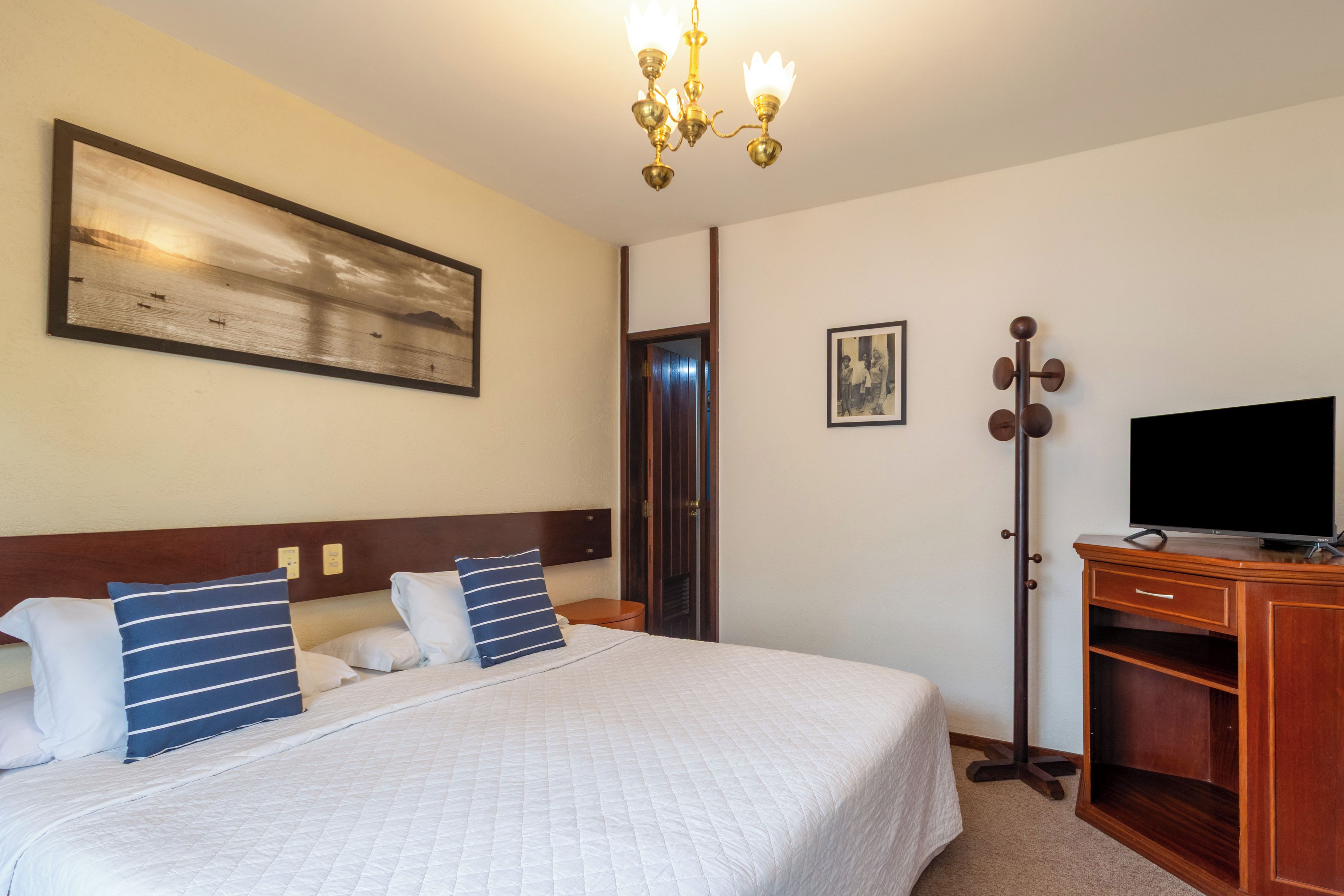 Una habitación de hotel con cama, televisión, un cuadro y una puerta.