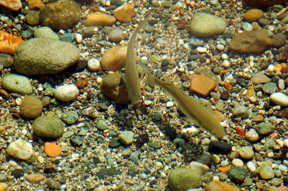 Aeolis Hotel by null