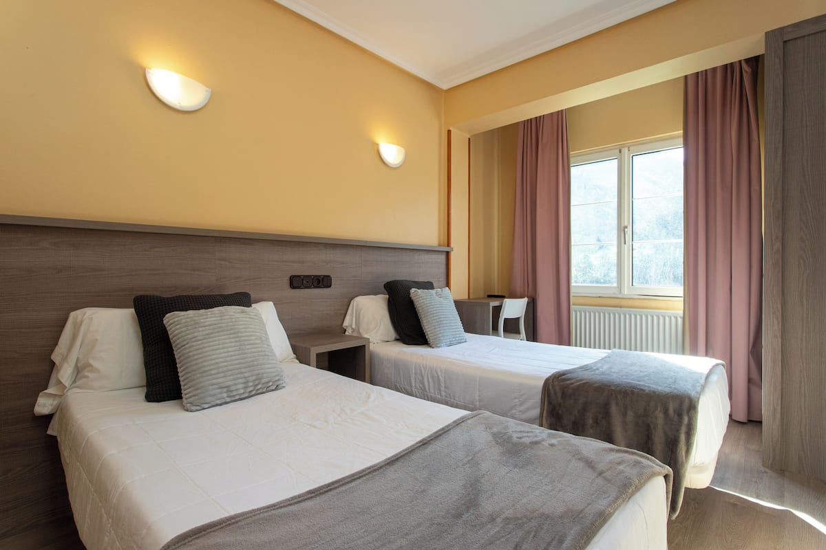 Basic Double Room, 2 Single Beds