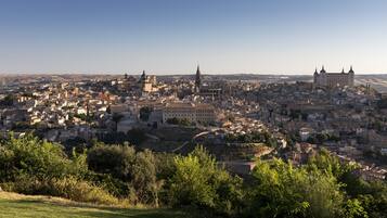 Una vista panorámica de una ciudad histórica con una arquitectura urbana densa, iglesias destacadas y un gran edificio que recuerda a un castillo.