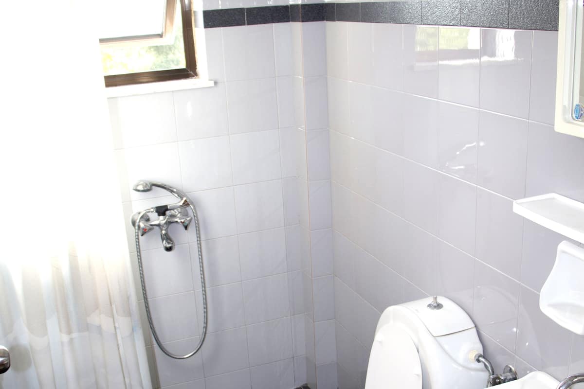 A bathroom with a toilet, bidet, shower, and sink.