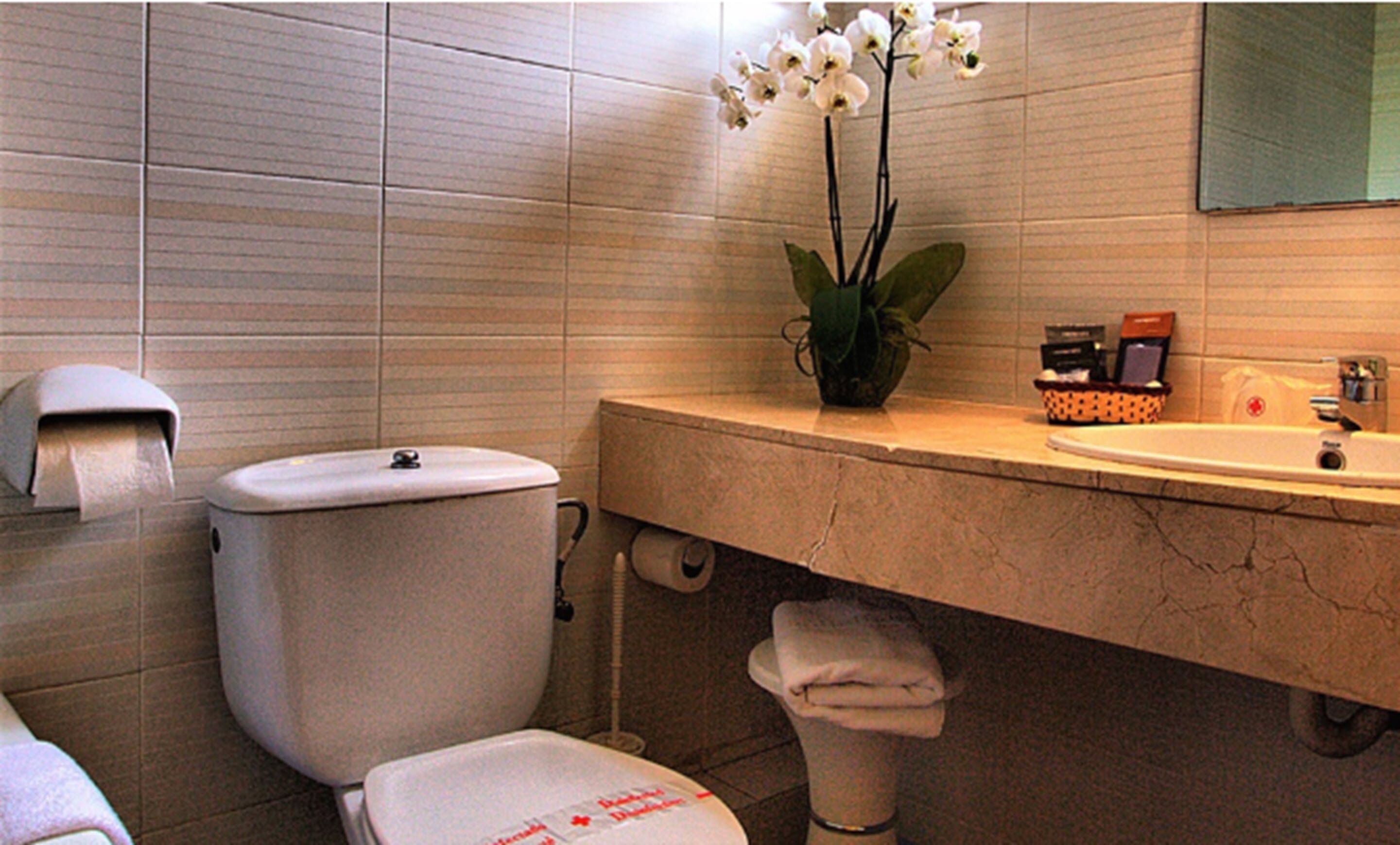 standard single room, 1 single bed | bathroom sink