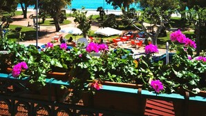 Une vue sur la côte avec un espace patio agrémenté de tables et de chaises, entouré d’une végétation luxuriante et de fleurs aux couleurs vives.