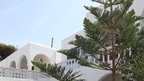 Un edificio blanco con contraventanas azules, un camino de piedra y una palmera.