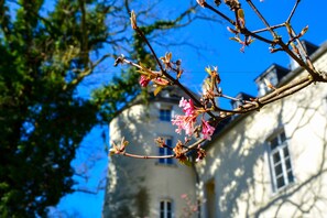 Ein Gebäude mit einem Turm und einem Zweig mit rosa Blüten im Vordergrund.