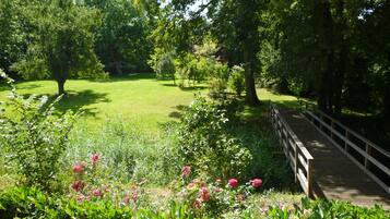 A garden with a wooden bridge, lush greenery, and flowering plants.