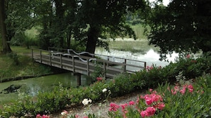 A wooden bridge over a pond with lush greenery and pink flowers.